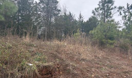 Photo #5 of  25.1 acres