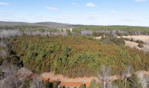 Photo #8 of  25.1 acres