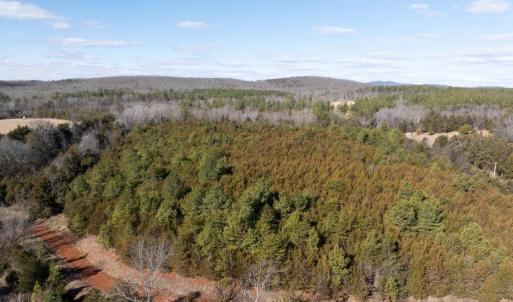 Photo #9 of  25.1 acres