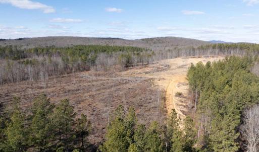 Photo #11 of  25.1 acres