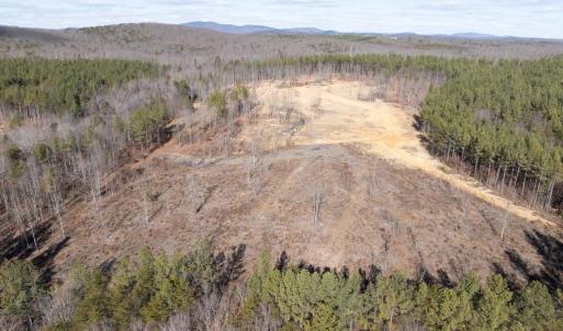 Photo #13 of  25.1 acres