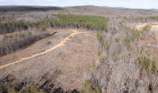 Photo #14 of  25.1 acres