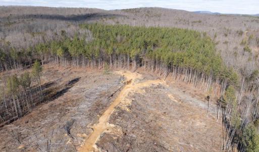 Photo #15 of  25.1 acres