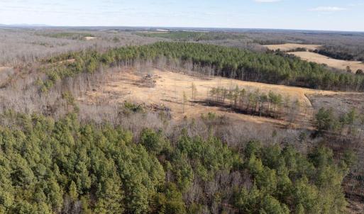 Photo #16 of  25.1 acres