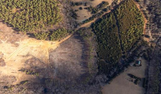 Photo #20 of  25.1 acres