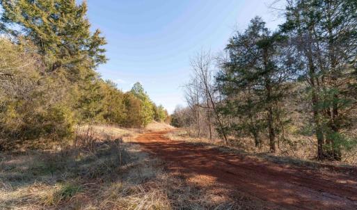 Photo #21 of  25.1 acres