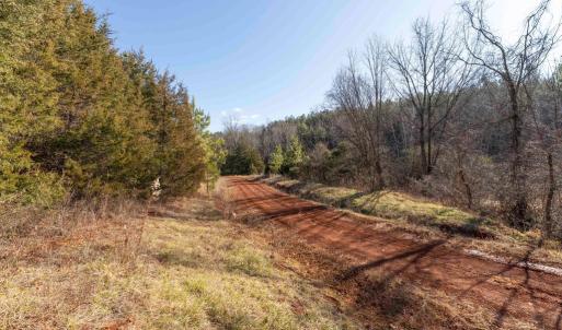 Photo #22 of  25.1 acres