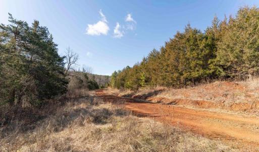 Photo #24 of  25.1 acres