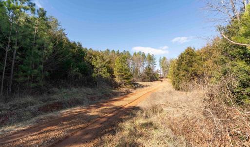 Photo #25 of  25.1 acres