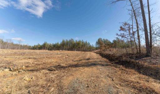 Photo #27 of  25.1 acres