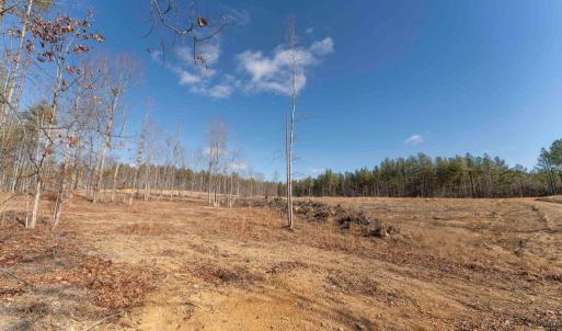 Photo #28 of  25.1 acres