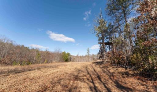 Photo #29 of  25.1 acres