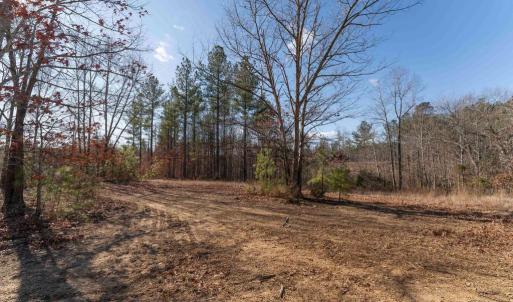 Photo #30 of  25.1 acres