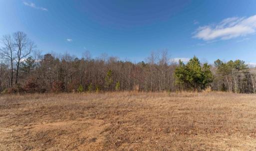 Photo #31 of  25.1 acres