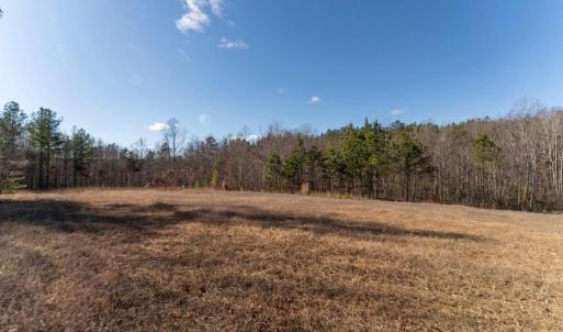 Photo #33 of  25.1 acres