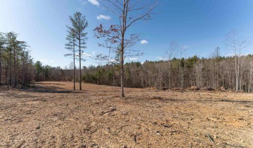 Photo #34 of  25.1 acres