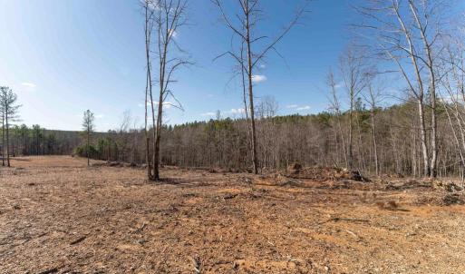 Photo #35 of  25.1 acres