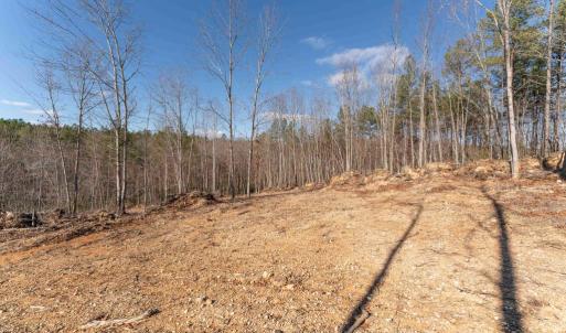 Photo #36 of  25.1 acres