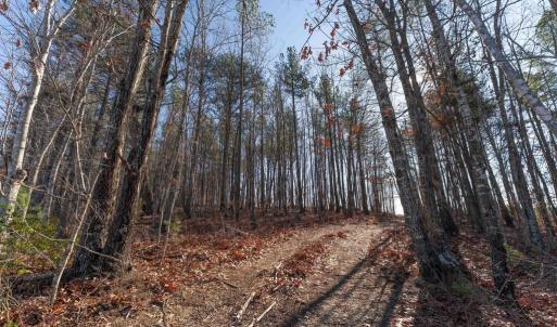 Photo #38 of  25.1 acres