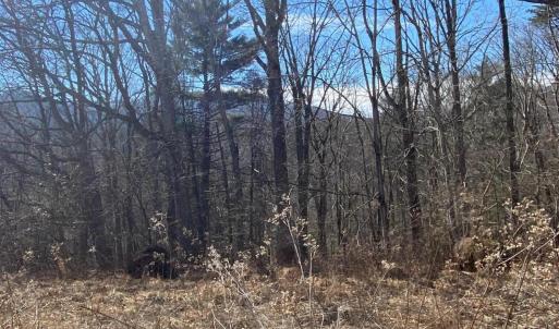 Lot 28 looking from River Rock