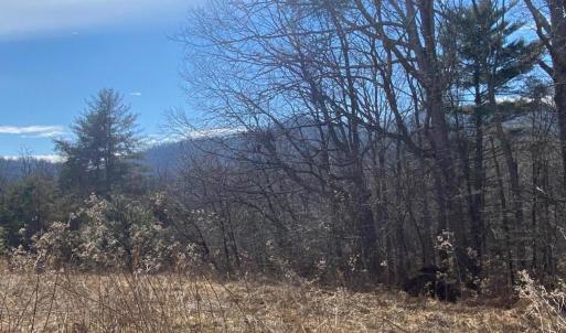 Lot 28 Road side
