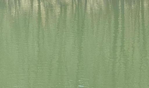 Roanoke River Water Front in Common area