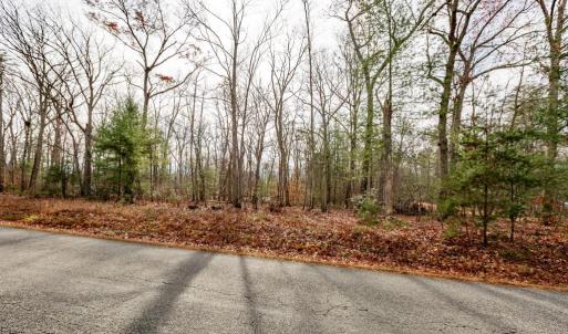 Photo #4 of 13600 BLACK MEADOW RD, SPOTSYLVANIA, VA 9.4 acres