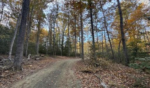 Photo #1 of 31078 OLD OFFICE RD LOT 1, LOCUST GROVE, VA 6.9 acres
