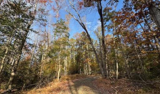 Photo #2 of 31078 OLD OFFICE RD LOT 1, LOCUST GROVE, VA 6.9 acres