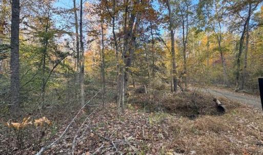 Photo #3 of 31078 OLD OFFICE RD LOT 1, LOCUST GROVE, VA 6.9 acres