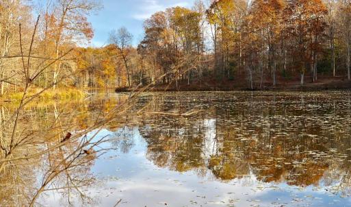 Photo #10 of 10405 PINEY BRANCH RD, SPOTSYLVANIA, VA 6.5 acres