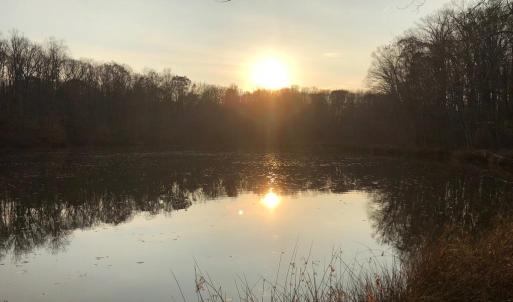 Photo #11 of 10405 PINEY BRANCH RD, SPOTSYLVANIA, VA 6.5 acres