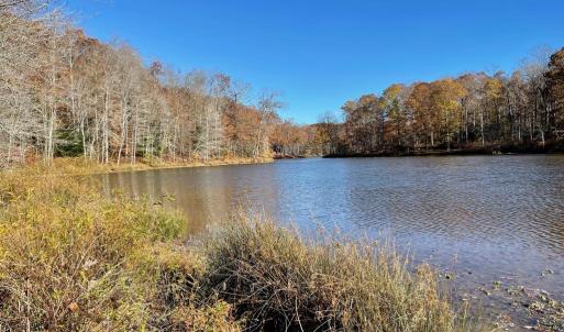 Photo #12 of 10405 PINEY BRANCH RD, SPOTSYLVANIA, VA 6.5 acres