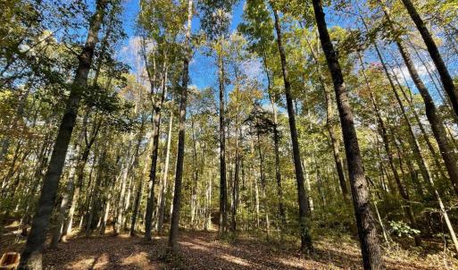 Photo #8 of 10405 PINEY BRANCH RD, SPOTSYLVANIA, VA 7.7 acres