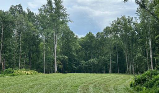 Photo #4 of 10405 PINEY BRANCH RD, SPOTSYLVANIA, VA 7.7 acres