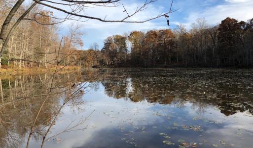 Photo #9 of 10405 PINEY BRANCH RD, SPOTSYLVANIA, VA 7.7 acres