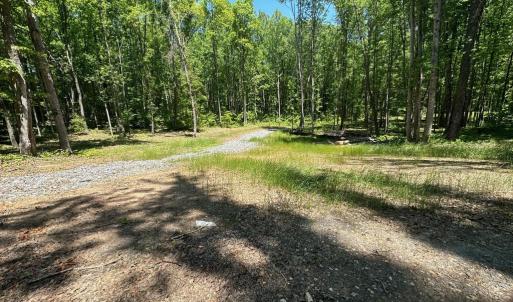 Photo #5 of 10405 PINEY BRANCH RD, SPOTSYLVANIA, VA 7.7 acres