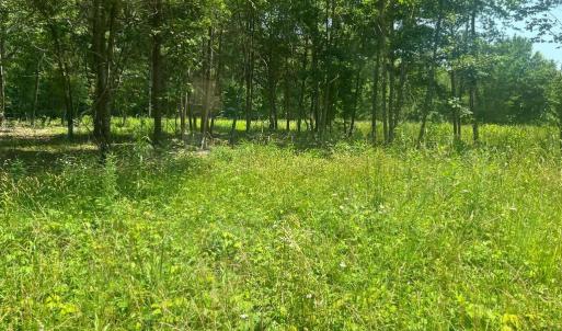 Photo #1 of KENTUCKY SPRINGS RD, BUMPASS, VA 1.7 acres