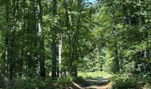 Photo #4 of 398 BAYLES LN, LOUISA, VA 4.0 acres