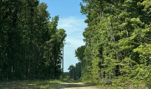 Photo #5 of 398 BAYLES LN, LOUISA, VA 4.0 acres