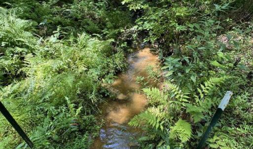 Photo #3 of 398 BAYLES LN, LOUISA, VA 4.0 acres