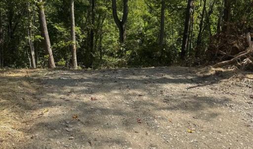 Photo #1 of CABIN BRANCH ROAD, MARSHALL, VA 3.0 acres