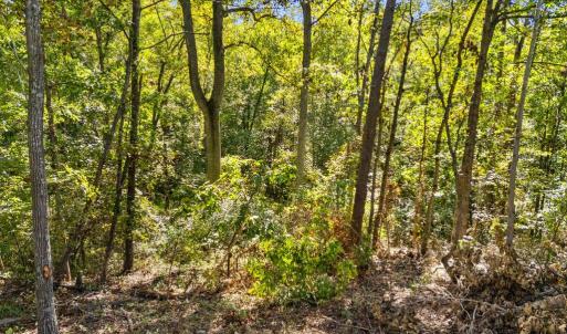 Photo #8 of CABIN BRANCH ROAD, MARSHALL, VA 3.0 acres