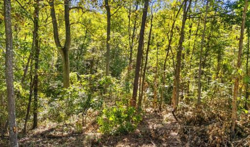 Photo #10 of CABIN BRANCH ROAD, MARSHALL, VA 3.0 acres