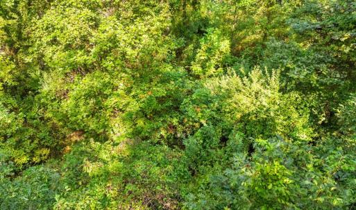 Photo #27 of CABIN BRANCH ROAD, MARSHALL, VA 3.0 acres