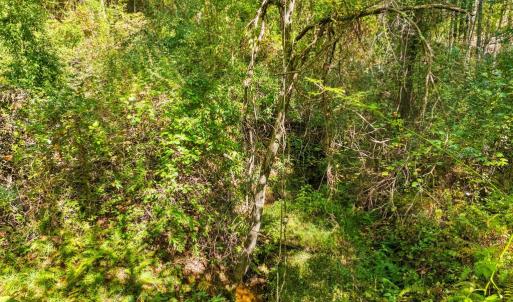 Photo #26 of CABIN BRANCH ROAD, MARSHALL, VA 3.0 acres