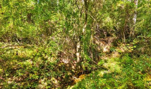 Photo #25 of CABIN BRANCH ROAD, MARSHALL, VA 3.0 acres