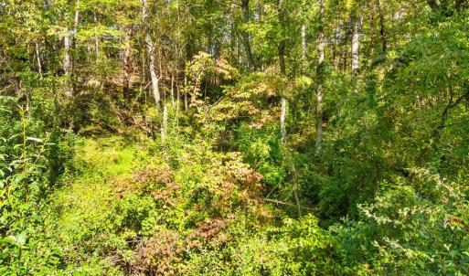 Photo #17 of CABIN BRANCH ROAD, MARSHALL, VA 3.0 acres