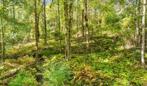 Photo #19 of CABIN BRANCH ROAD, MARSHALL, VA 3.0 acres