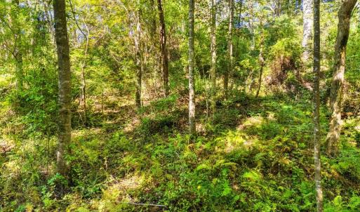 Photo #20 of CABIN BRANCH ROAD, MARSHALL, VA 3.0 acres